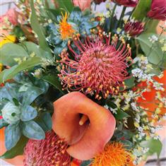 Autumn Splendour 