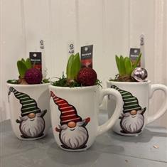 Festive Gift Hyacinth Gonk Mug