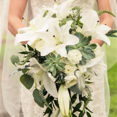 Wedding - Bride Cascading Shower Bouquet