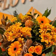 Christmas Clementine