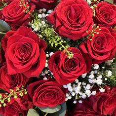 Valentines G 50 Luxury Rose Bouquet