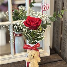 Valentines B 'Kiss &amp; Cuddle' Single Rose