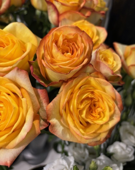 Jean's Flowers